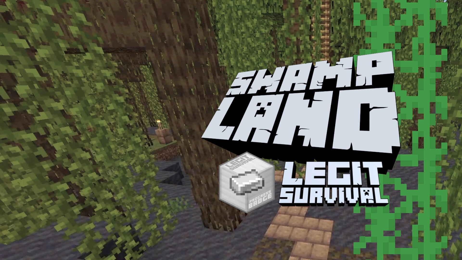 Swamp Land